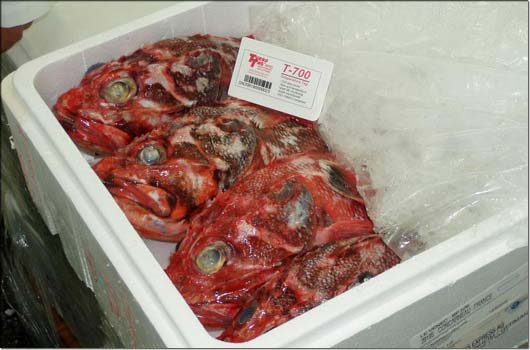 Miniaturisierte Datenlogger k�nnen direkt an der Ware angebracht werden. Das Auslesen der Temperaturkurven erfolgt kontaktlos �ber eine RFID-Schnittstelle.